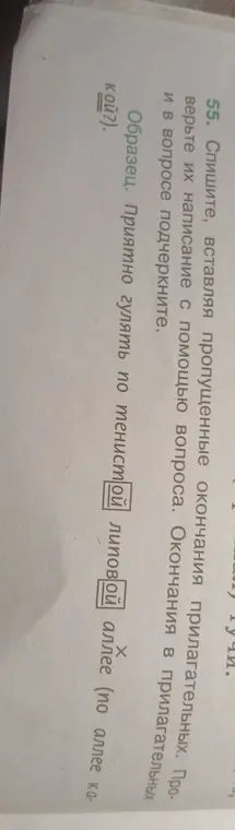 Помоги вставить пропущенные окончания в прилагательных в упражнении 55