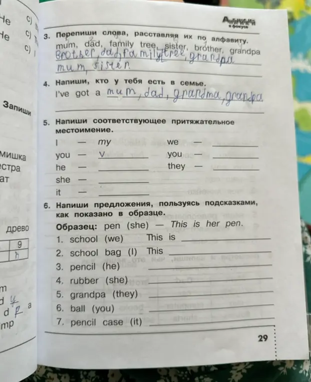Помоги выполнить задания в учебнике английского языка: в 3 задании расставь слова по алфавиту, в 5 напиши притяжательные местоимения, в 6 напиши предложения, пользуясь подсказками, как в образце