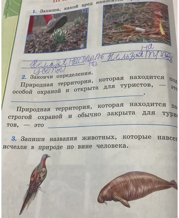 Запиши, какой вред наносится природе.