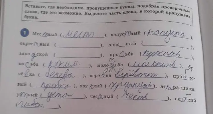 Помоги мне вставить пропущенные буквы, подобрав проверочные слова в упражнении по русскому языку.