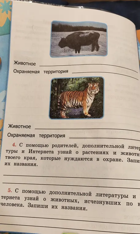 Заполни информацию про животных и охраняемые территории, как показано на картинке