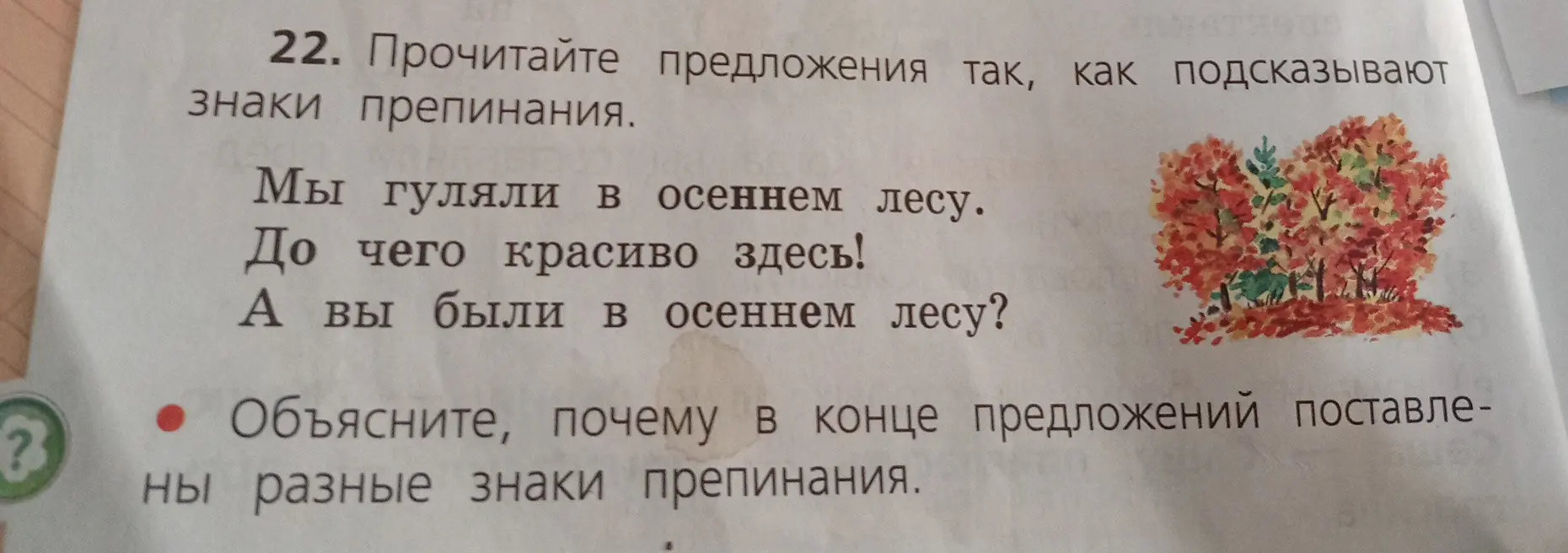 Объясни, почему в конце предложений 'Мы гуляли в осеннем лесу', 'До чего красиво здесь!' и 'А вы были в осеннем лесу?' поставлены разные знаки препинания