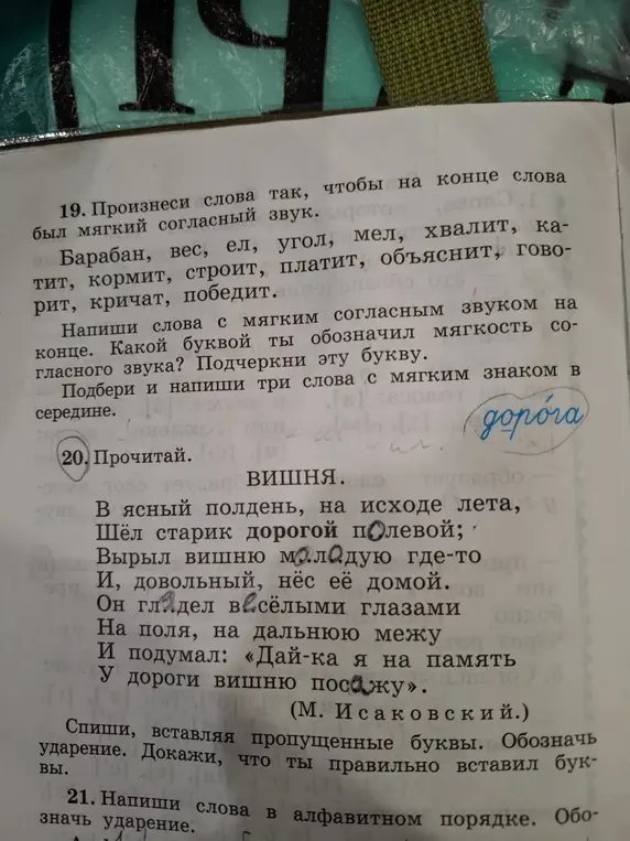 Выполни упражнения 19, 20, 21: произнеси слова так, чтобы на конце слова был мягкий согласный звук, напиши слова с мягким согласным звуком на конце, какой буквой обозначил мягкость согласного звука, подчеркни эту букву, подбери и напиши три слова с мягким знаком в середине; спиши, вставляя пропущенные буквы, обозначь ударение, докажи, что ты правильно вставил буквы; напиши слова в алфавитном порядке, обозначь ударение.