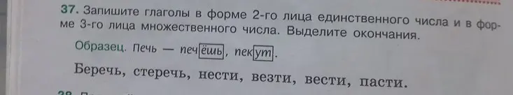 Запиши глаголы «беречь, стеречь, нести, везти, вести, пасти» в форме 2-го лица единственного числа и в форме 3-го лица множественного числа