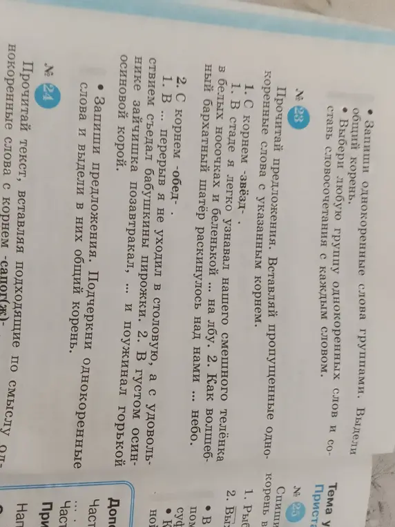 В упражнении №23 вставь пропущенные однокоренные слова с указанным корнем. В упражнении №24 прочитай текст, вставляя подходящие по смыслу однокоренные слова с корнем -сапог(ж)-.