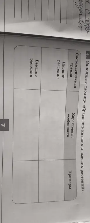 Заполни таблицу «Сравнение низших и высших растений».