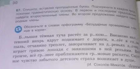 В упражнении 67, вставь пропущенные буквы и подчеркни в каждом предложении грамматическую основу
