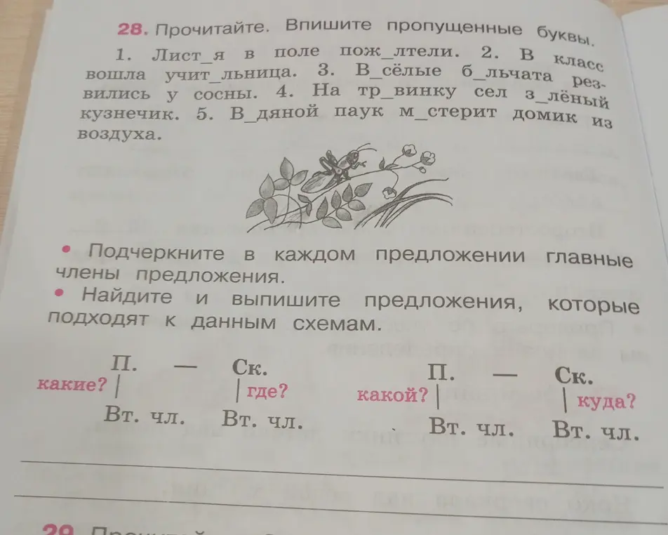 Можешь ли ты помочь мне выполнить упражнение: вставить пропущенные буквы, подчеркнуть главные члены предложения и найти предложения, которые подходят к данным схемам?