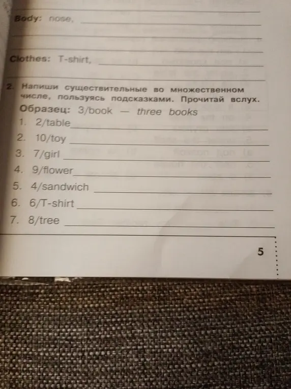 Помоги написать существительные во множественном числе, пользуясь подсказками в задании 2