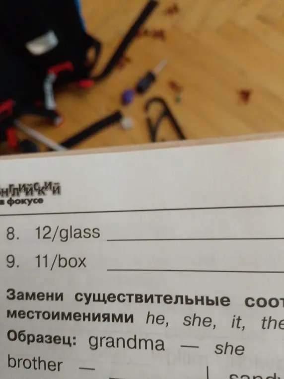 Помоги заменить существительные местоимениями he, she, it, the: grandma - she, brother.