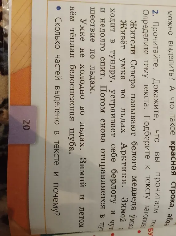 Сколько частей выделено в тексте и почему?