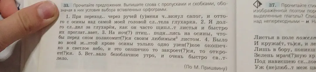 Выполни задание: выпиши слова с пропусками и скобками, обозначая в них условия выбора вставленных орфограмм