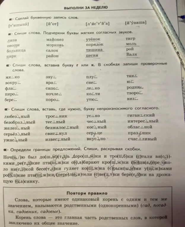 Выполни для меня упражнения по русскому языку: сделай буквенную запись слов, спиши слова подчеркнув буквы мягких согласных звуков, спиши слова вставив букву Г или К, спиши слова вставь где нужно букву непроизносимого согласного, определи границы предложений и раскрой скобки.