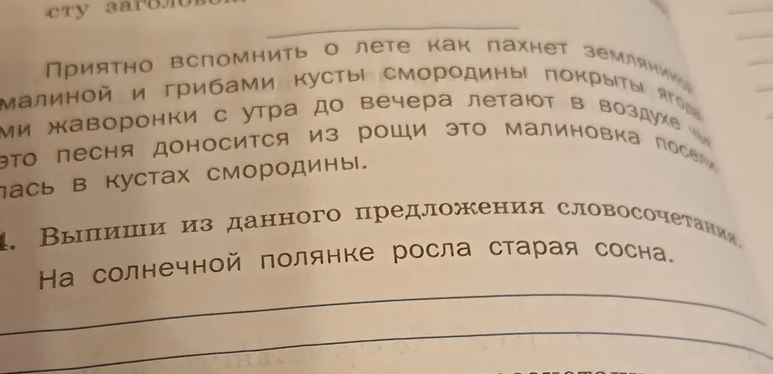 Выпиши из данного предложения словосочетания: 'На солнечной полянке росла старая сосна'.