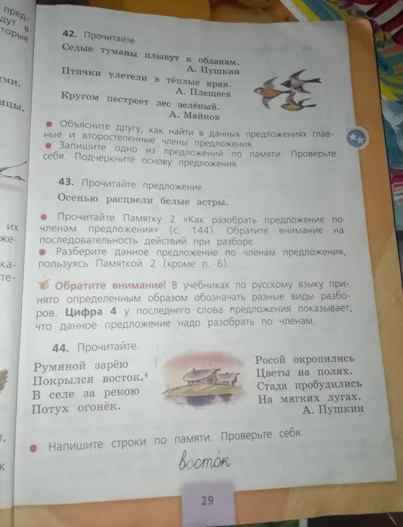 Выполни синтаксический разбор предложения 'Осенью расцвели белые астры'