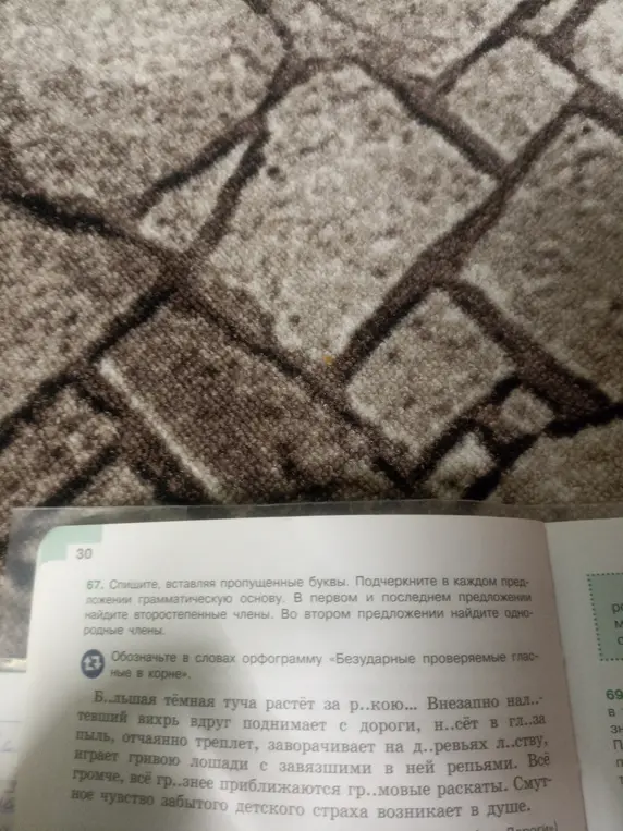 Вставь пропущенные буквы, подчеркни в каждом предложении грамматическую основу, в первом и последнем предложении найди второстепенные члены, во втором предложении найди однородные члены.