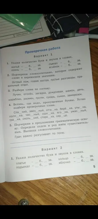Укажи количество букв и звуков в словах в варианте 1