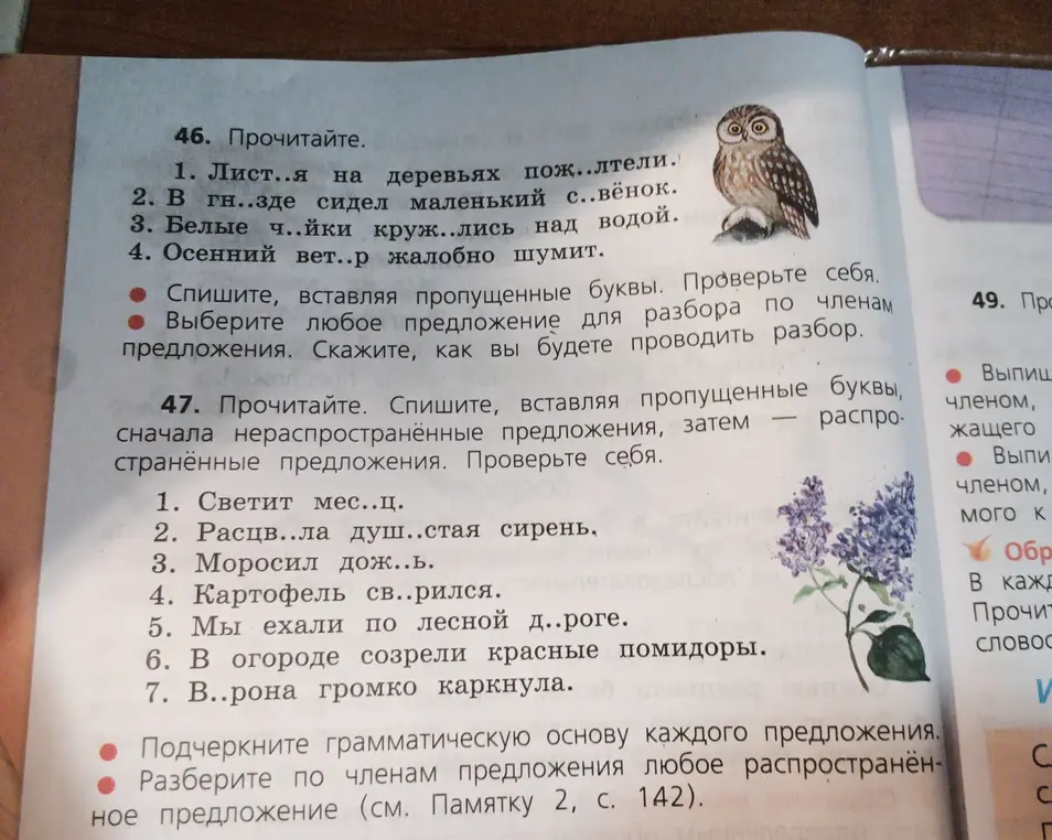 В 46-м задании вставь пропущенные буквы в предложениях, а в 47-м задании вставь пропущенные буквы в предложениях (сначала в нераспространённые, затем в распространённые)