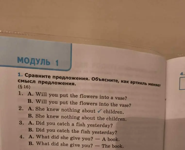 Объясни, как артикль меняет смысл в предложениях 'Will you put the flowers into a vase?' и 'Will you put the flowers into the vase?'