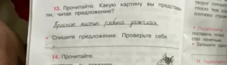 Какую картину ты представляешь, читая предложение 'Красною кистью рябина зажглась'?