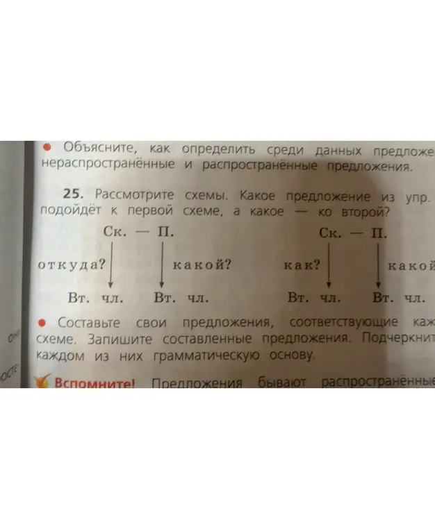 Объясни, как определить среди данных предложений нераспространенные и распространенные предложения.