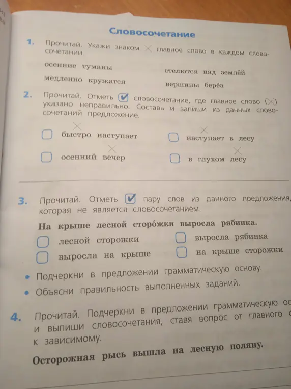 Выполни задания по русскому языку: укажи главное слово в каждом словосочетании, отметь словосочетание, где главное слово указано неправильно, отметь пару слов, которая не является словосочетанием, и подчеркни в предложении грамматическую основу.