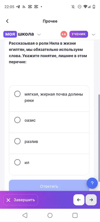 Определи понятие, лишнее в перечне: мягкая, жирная почва долины реки, оазис, разлив, ил