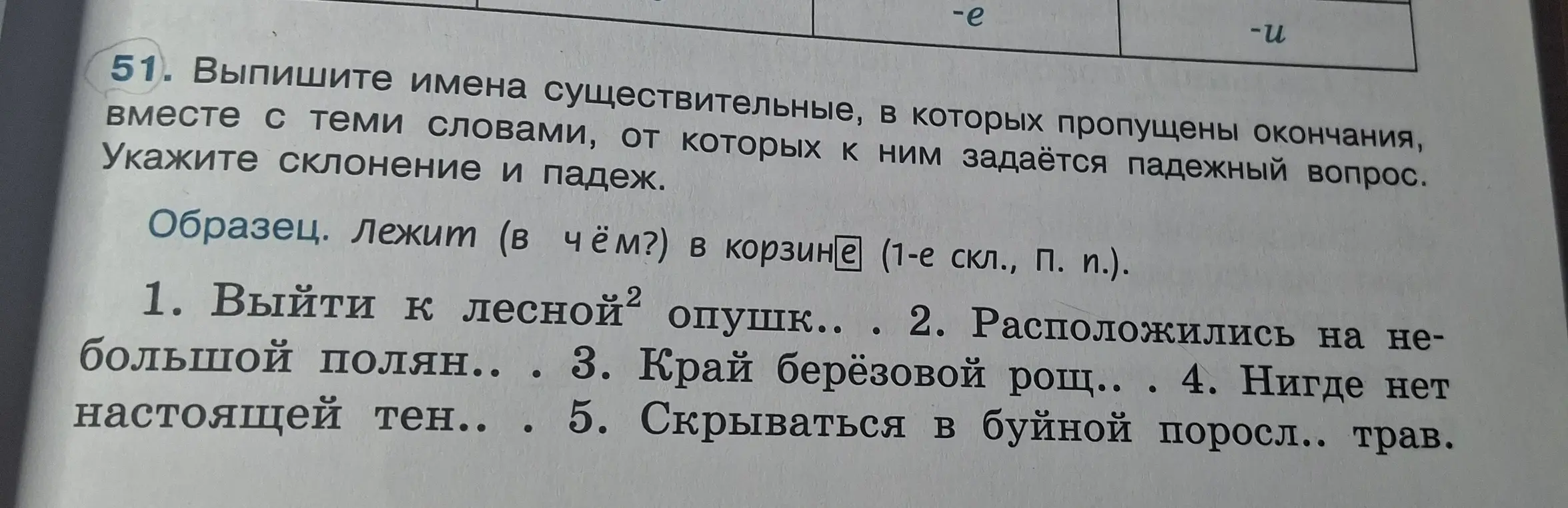 Ты просишь выписать имена существительные с пропущенными окончаниями, указать склонение и падеж.