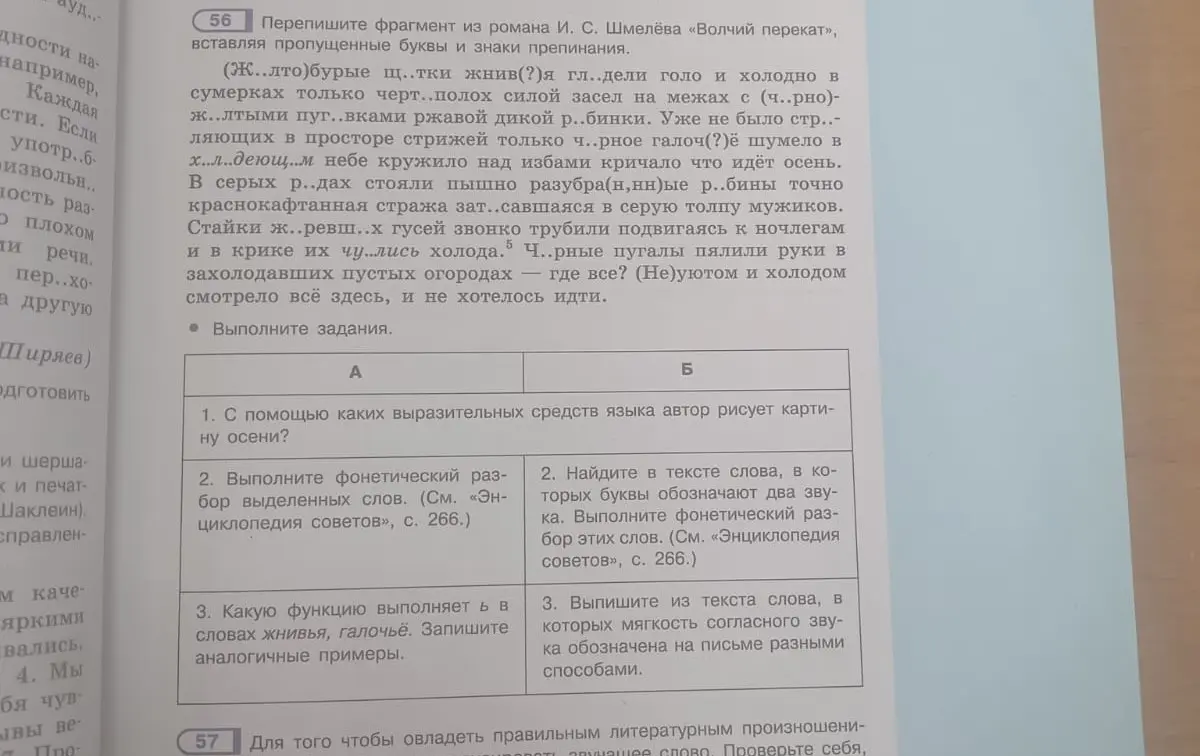 Можешь ли ты помочь мне с выполнением упражнений по русскому языку из учебника Шмелёва?