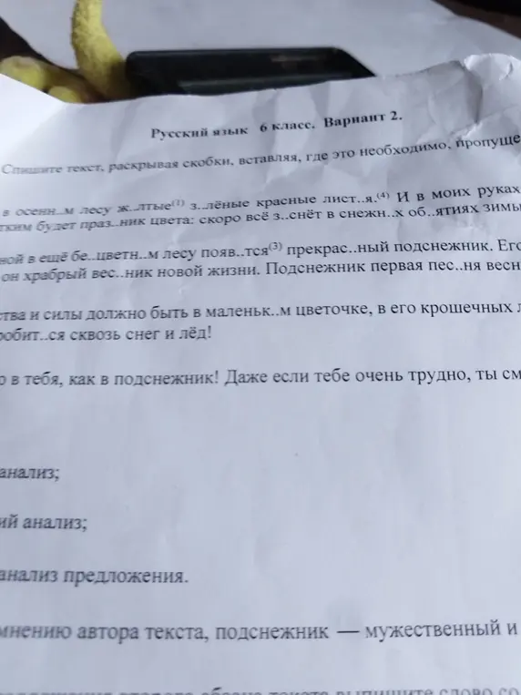 Помоги списать текст, раскрывая скобки и вставляя пропущенные буквы