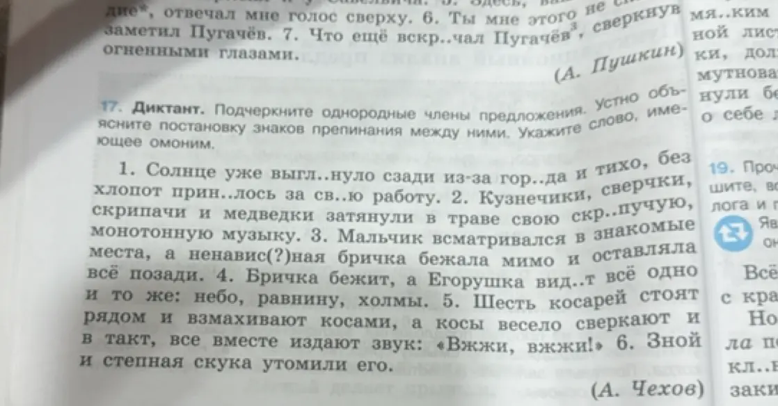 Подчеркни однородные члены предложения в первом предложении, объясни постановку знаков препинания между ними. Укажи слово, имеющее омоним.