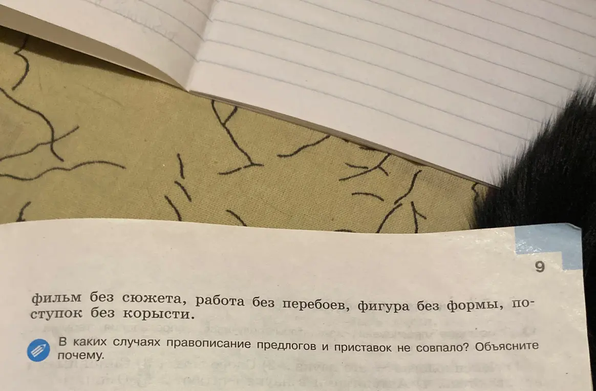 Объясни, в каких случаях правописание предлогов и приставок не совпадает