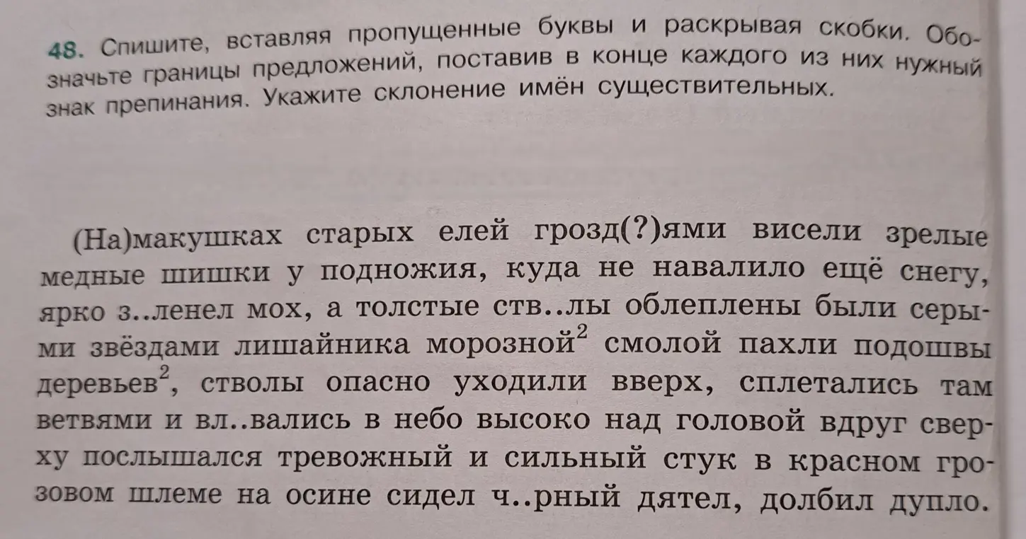 Предлагаешь списать текст, вставляя пропущенные буквы и раскрывая скобки, обозначить границы предложений, поставив в конце каждого из них нужный знак препинания и указать склонение имён существительных.