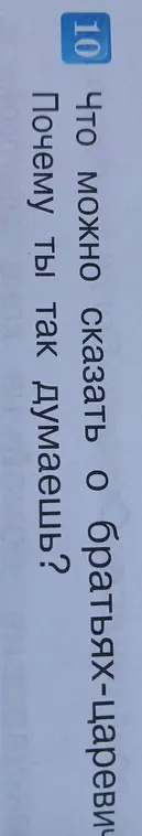 Что можно сказать о братьях-царевичах?