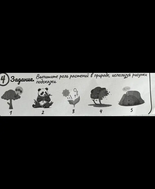 Объясни мне, какую роль играют растения в природе, используя рисунки