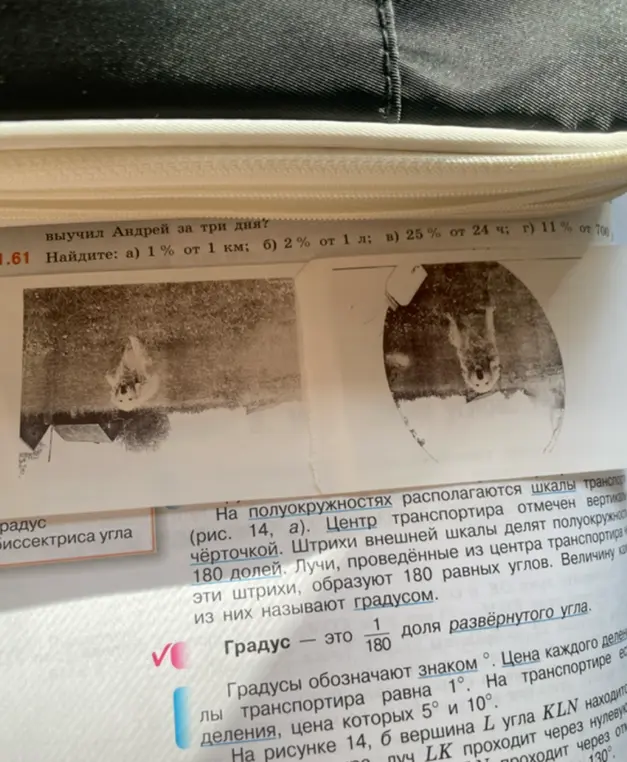 Помоги мне найти: а) 1% от 1 км