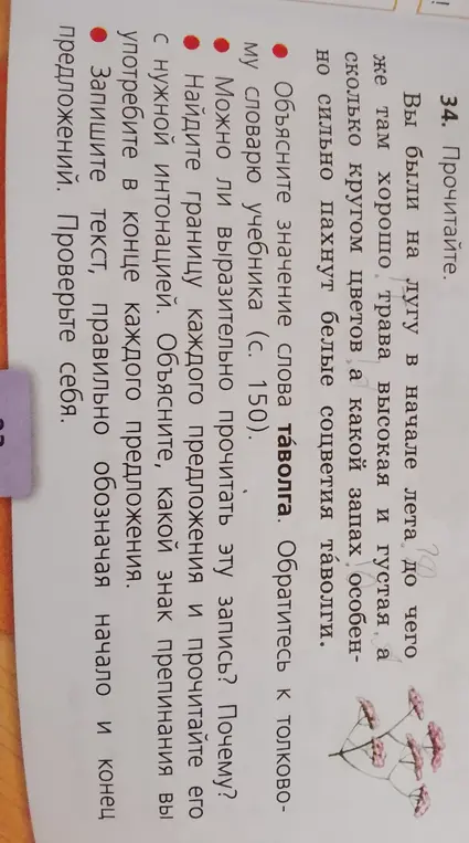 Объясни значение слова таволга, можно ли выразительно прочитать эту запись, найди границу каждого предложения и прочитай его с нужной интонацией, запиши текст, правильно обозначая начало и конец предложений.