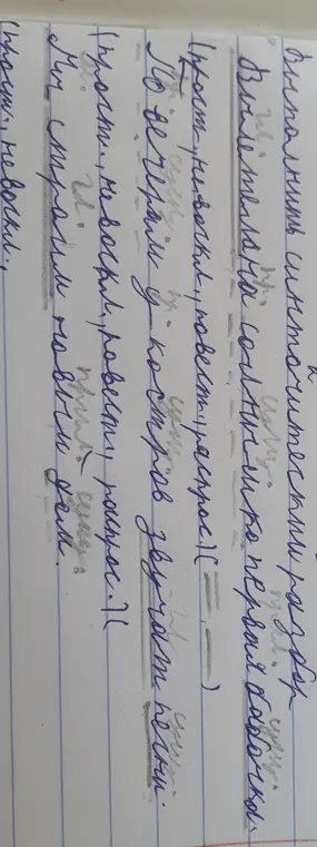 Выполни синтаксический разбор предложения 'Вылетело солнышко первая бабочка'