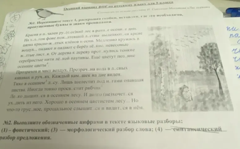 Ты просишь переписать текст, раскрывая скобки и вставляя пропущенные буквы и знаки препинания, а также выполнить фонетический, морфологический и синтаксический разборы.