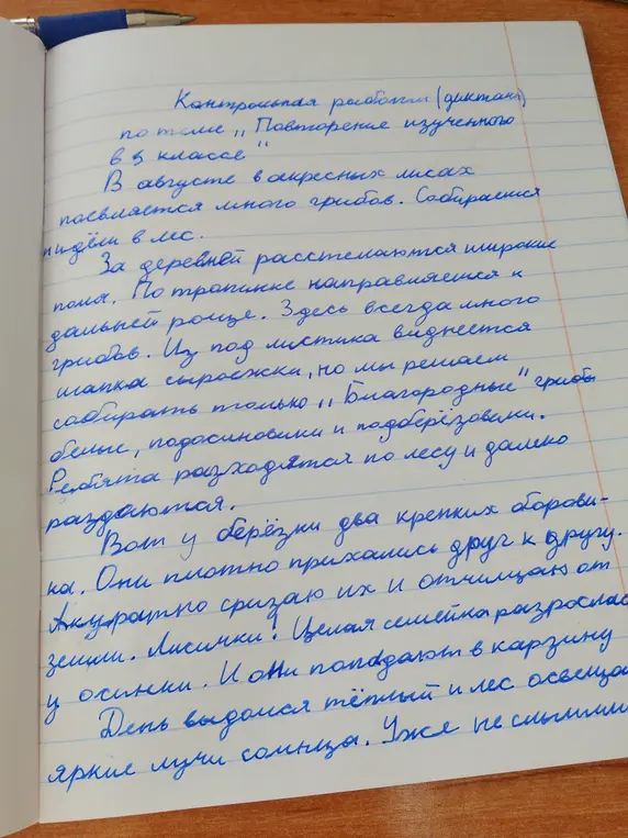 Найди ошибки в тексте