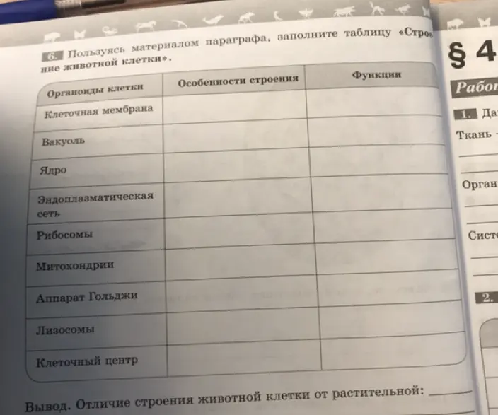 Составь таблицу о строении животной клетки, заполнив столбцы 'Органоиды клетки', 'Особенности строения' и 'Функции'.