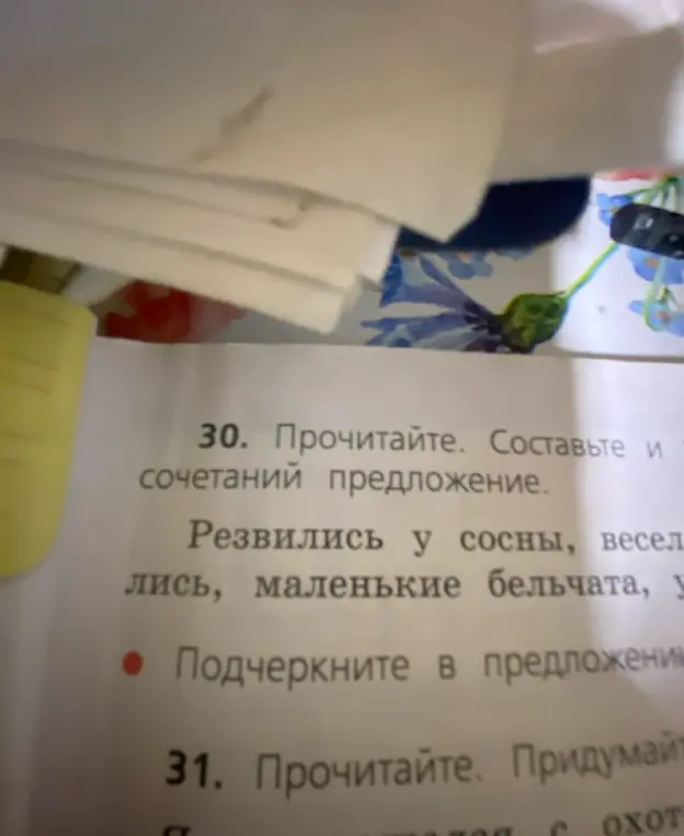 Составь и подчеркни главные члены в предложении из сочетаний: Резвились у сосны, веселились, маленькие бельчата, у