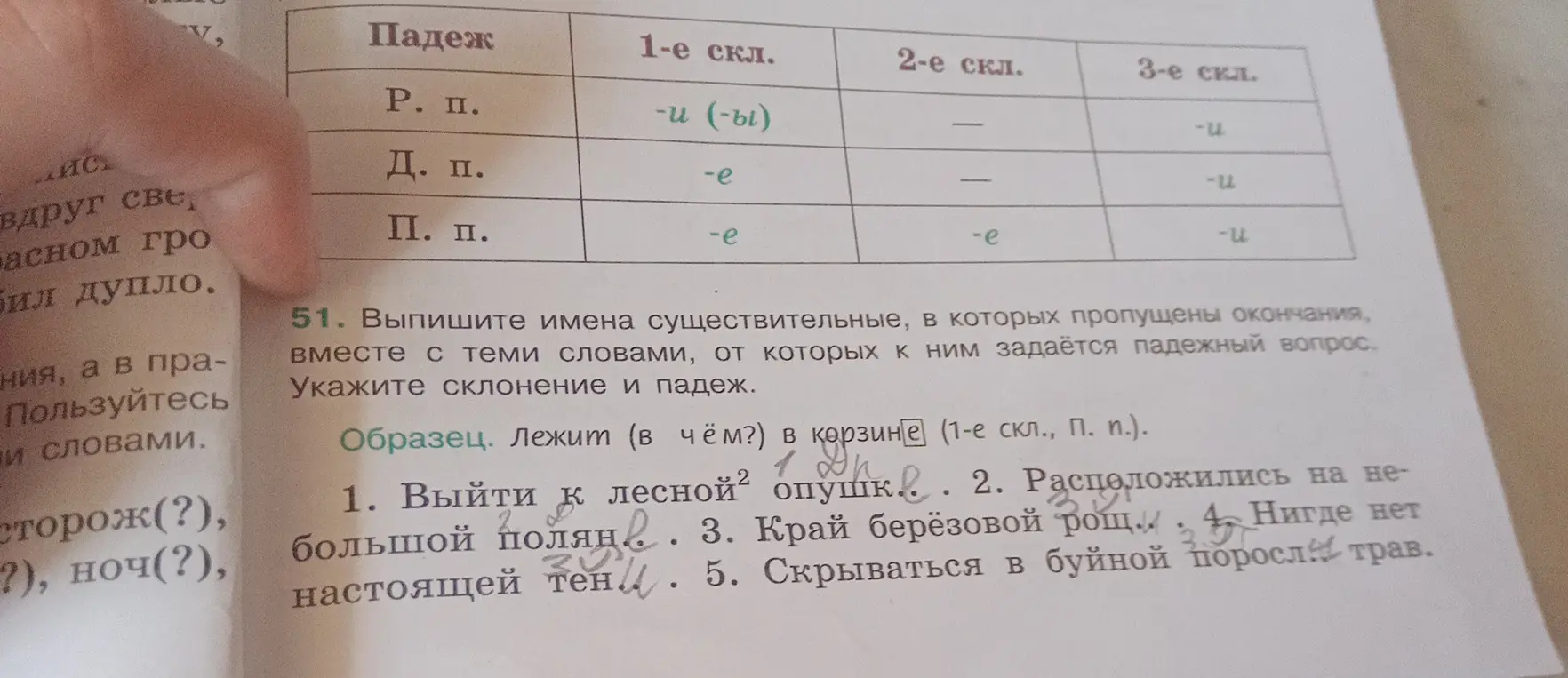Определи падежи и склонения в предложениях с пропущенными окончаниями существительных