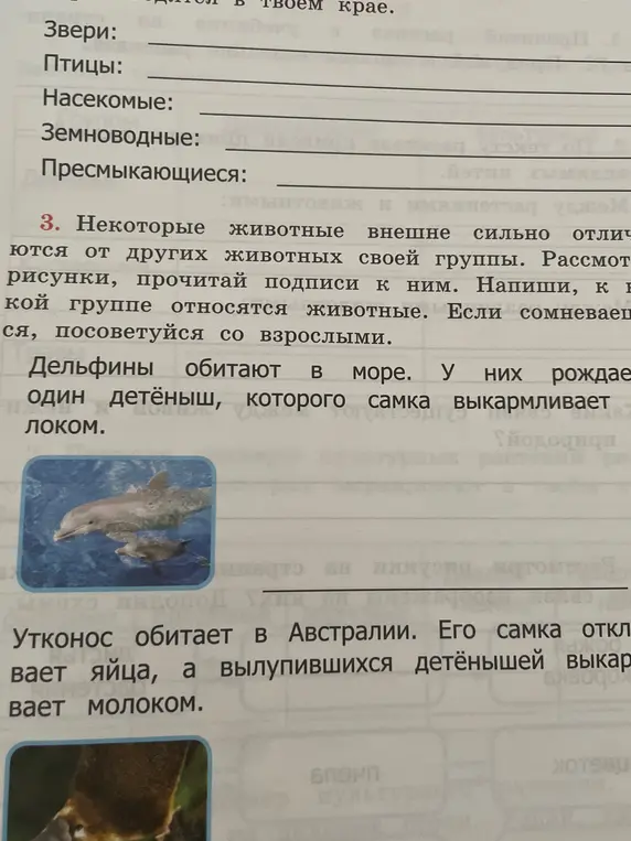 Как определить, к какой группе относятся дельфины и утконосы в задании №3?
