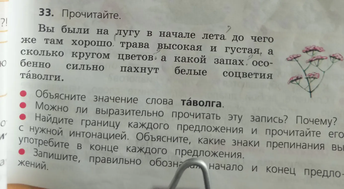 Объясни значение слова таволга