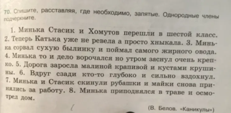 Помоги расставить запятые и подчеркнуть однородные члены в предложениях.