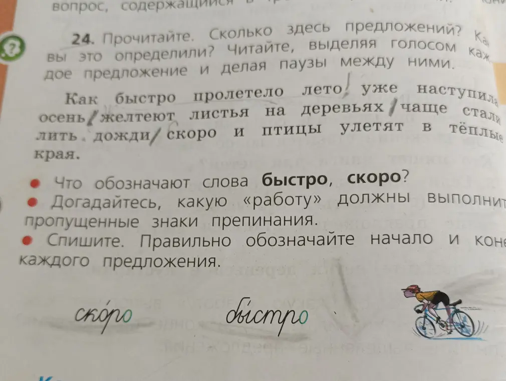 Как определить количество предложений в тексте?