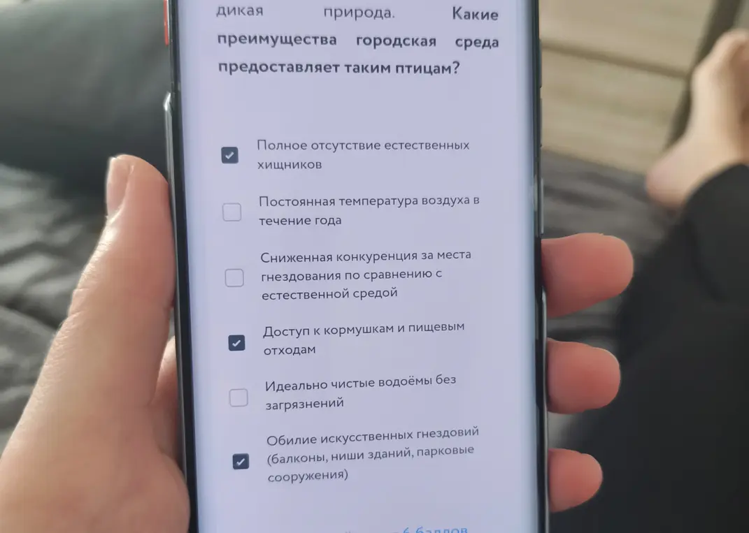 Какие преимущества городская среда предоставляет птицам?