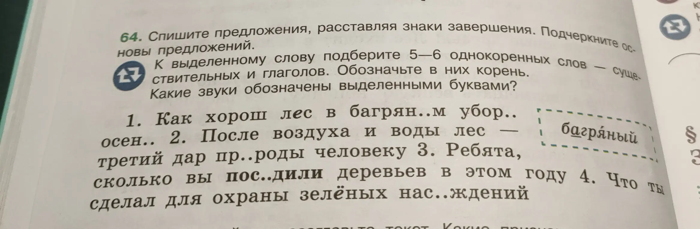 Ты просишь списать предложения, расставляя знаки завершения, подчеркнуть основы предложений и подобрать 5-6 однокоренных слов к выделенному слову.