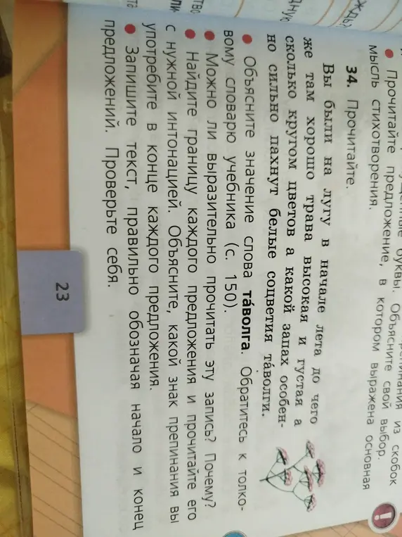 Объясни значение слова таволга и можно ли выразительно прочитать запись.